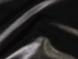 Pegas (black)